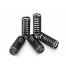 TECNIUM Clutch Spring Kit Box of 5 Yamaha YZF 250