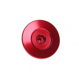 RFX Pro Engine Timing Plug (Red) - Honda CRF450