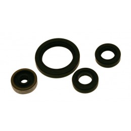 CENTAURO Oil Seal set