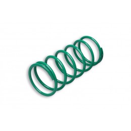 MALOSSI Racing Compression Spring