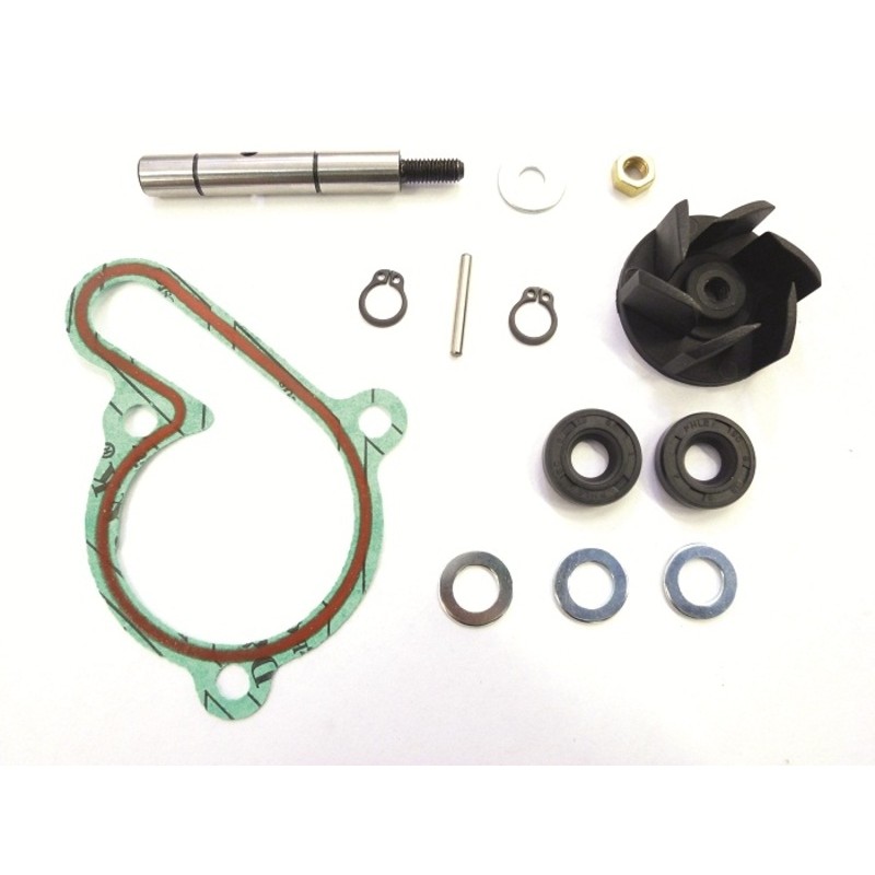 TOP PERFORMANCES Water pump repair kit