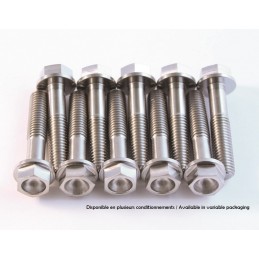 SCAR Titanium Screw Kit M8x40 By 2