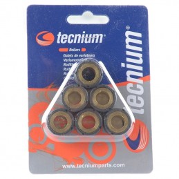 TECNIUM Variator Rollers 20x14,5mm 14,5gr - Set of 6