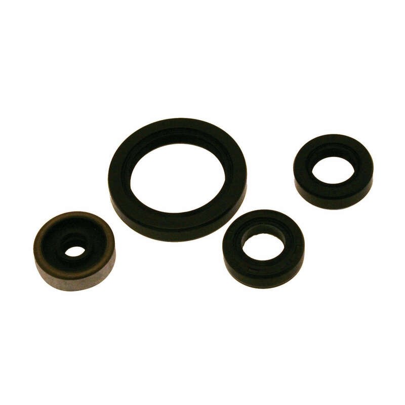 CENTAURO Oil Seal Set