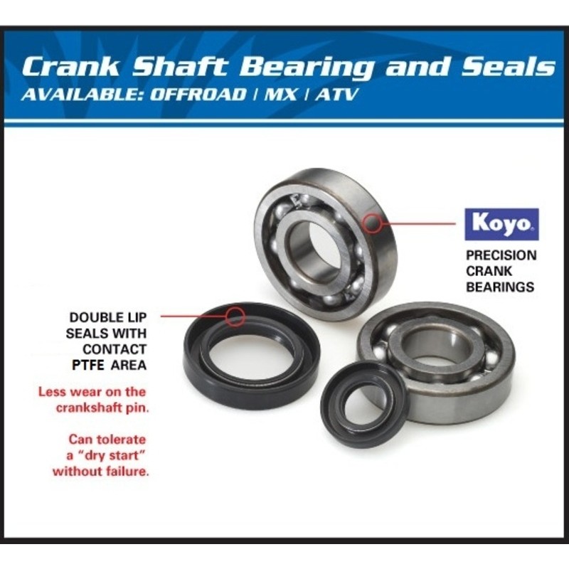 ALL BALLS Crankshaft Bearing & Oil Seal Kit