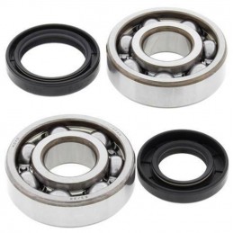 ALL BALLS Crankshaft Bearing & Oil Seal Kit