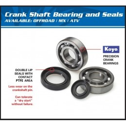 ALL BALLS Crankshaft Bearing & Oil Seal Kit