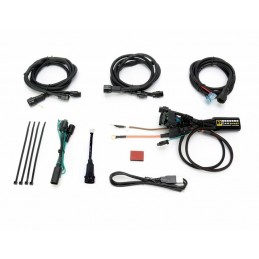 DENALI Gen II CANsmart Plug-N-Play Controller BMW K1600